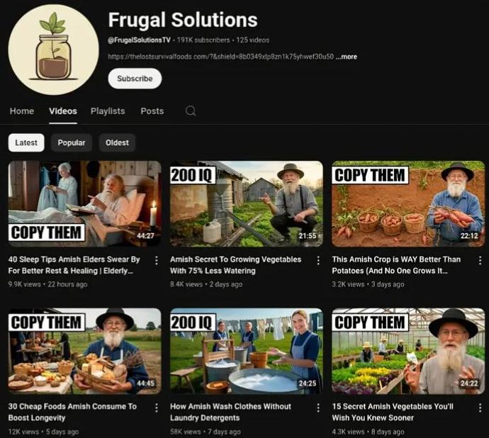 22M+ views in 365 days. $188K+ generated. 183K+ subscribers gained.