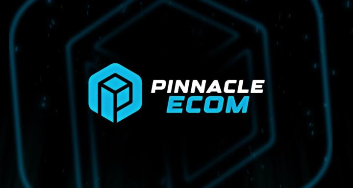 Pinnacle Ecom