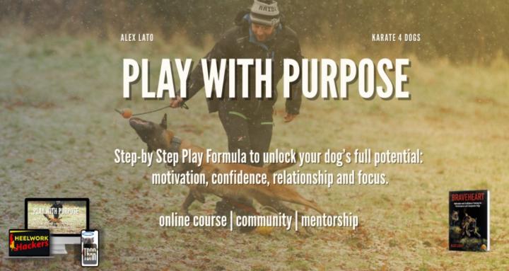 Karate4Dogs Learning Hub