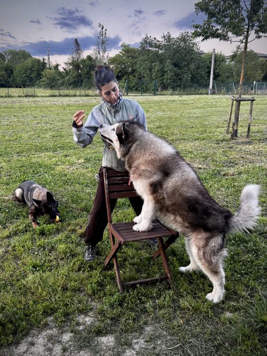 Thank you Alex for this opportunity!