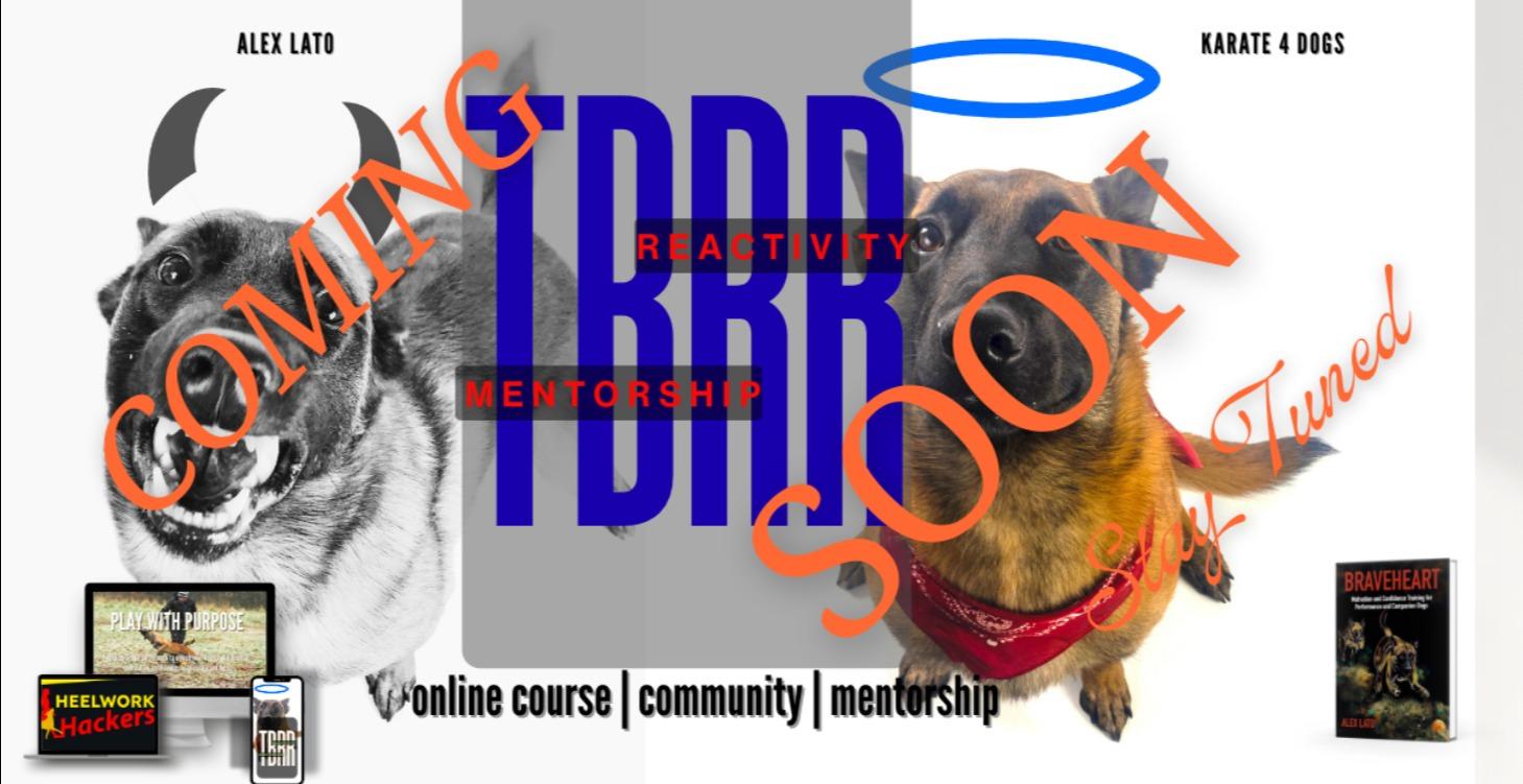 Reactivity in Dogs - TBRR System