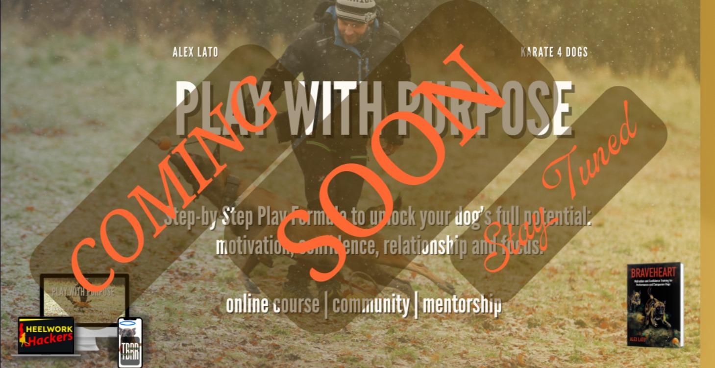 Play with Purpose 2nd Edition