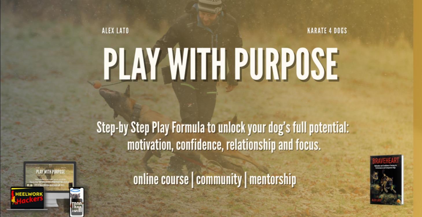 Play with Purpose Pro (3rd edition)