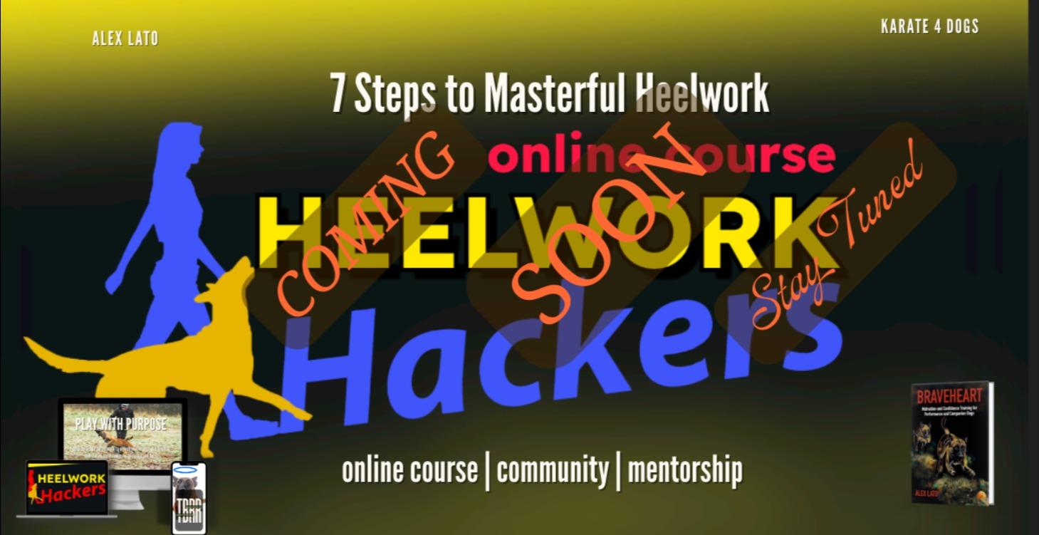 Heelwork Hackers