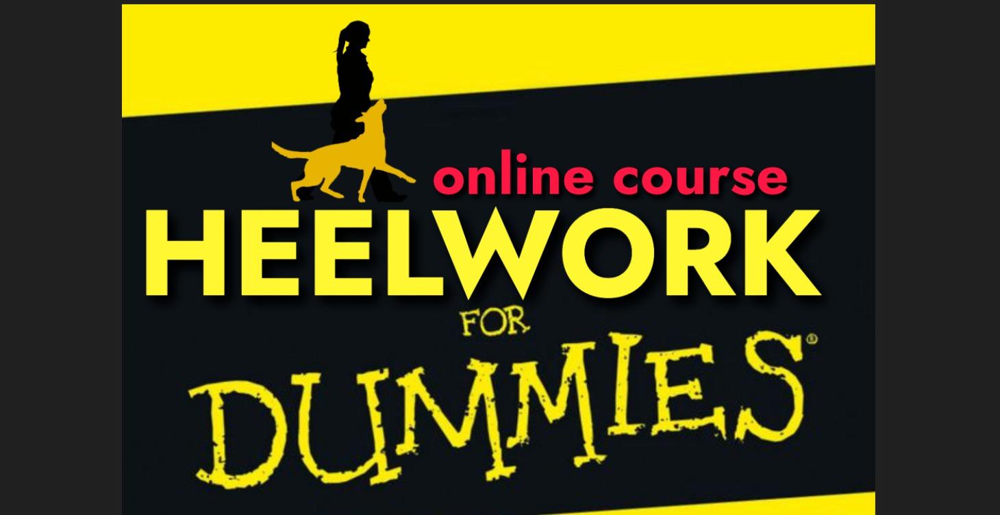 Heelwork 4 Dummies (Heelwork Hackers)