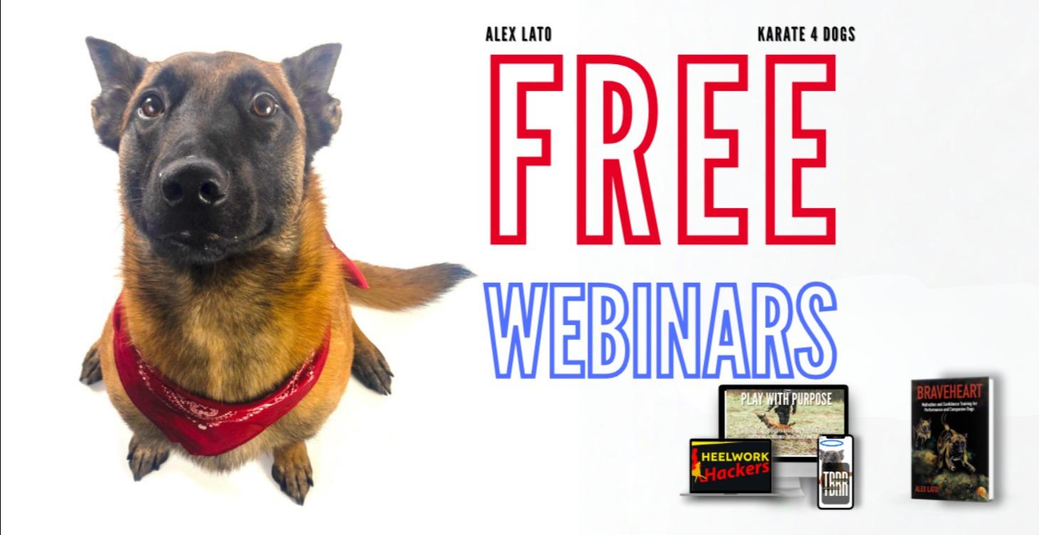 Free Webinars and Resources