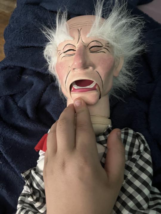 Dummy for sale!