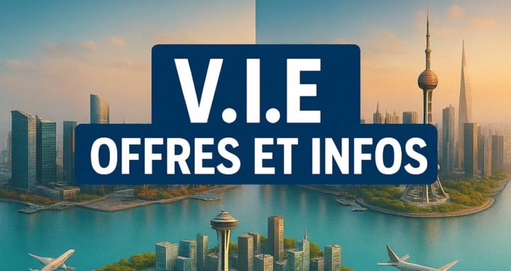 V.I.E: Offres et infos