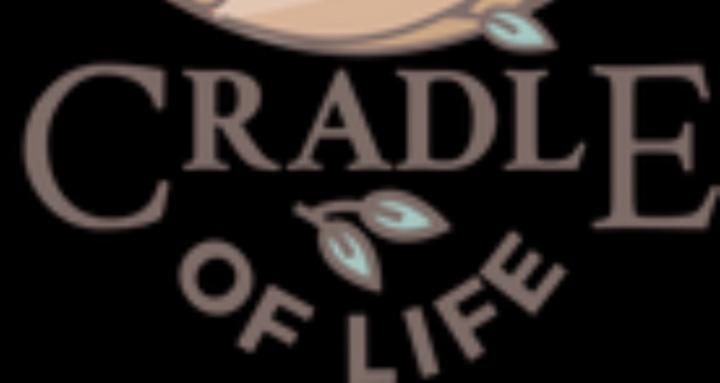 Cradle of Life