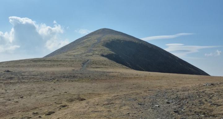 Manifesting your future