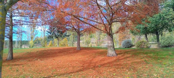 Laura Sanchez Azcona
