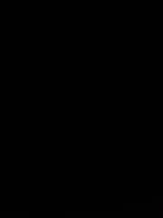 Ali Bhai
