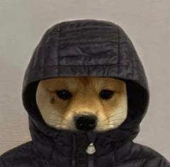 Theo le H
