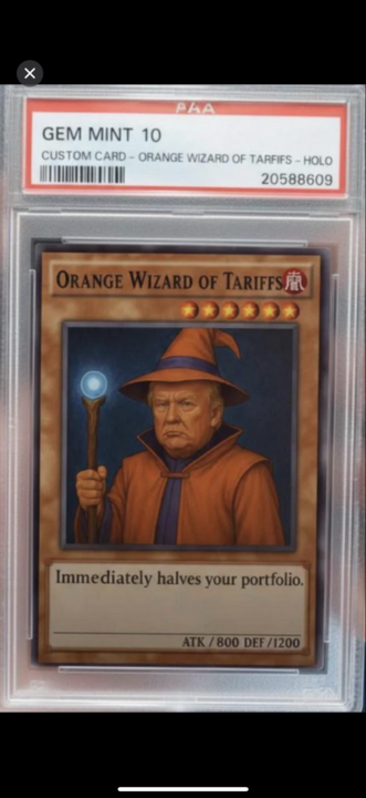 This explains my portfolio 