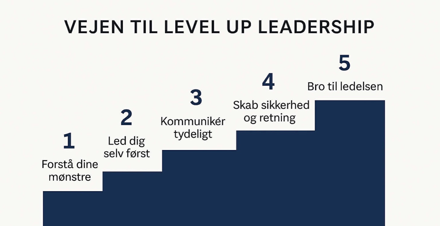 Level Up ledership. -Mellemlederens værktøjskasse.