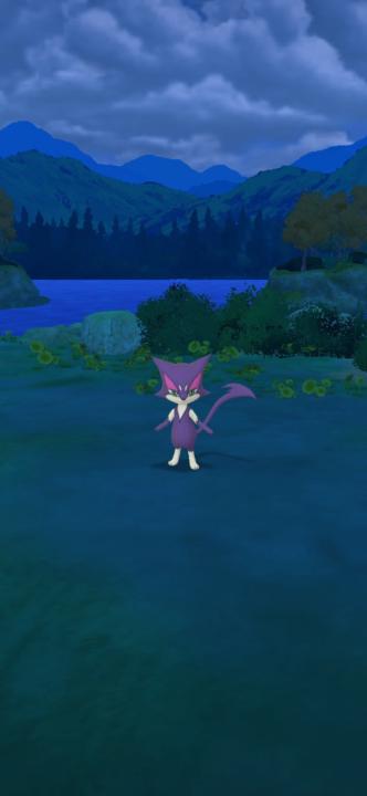 Quentin Van cauwenberghe