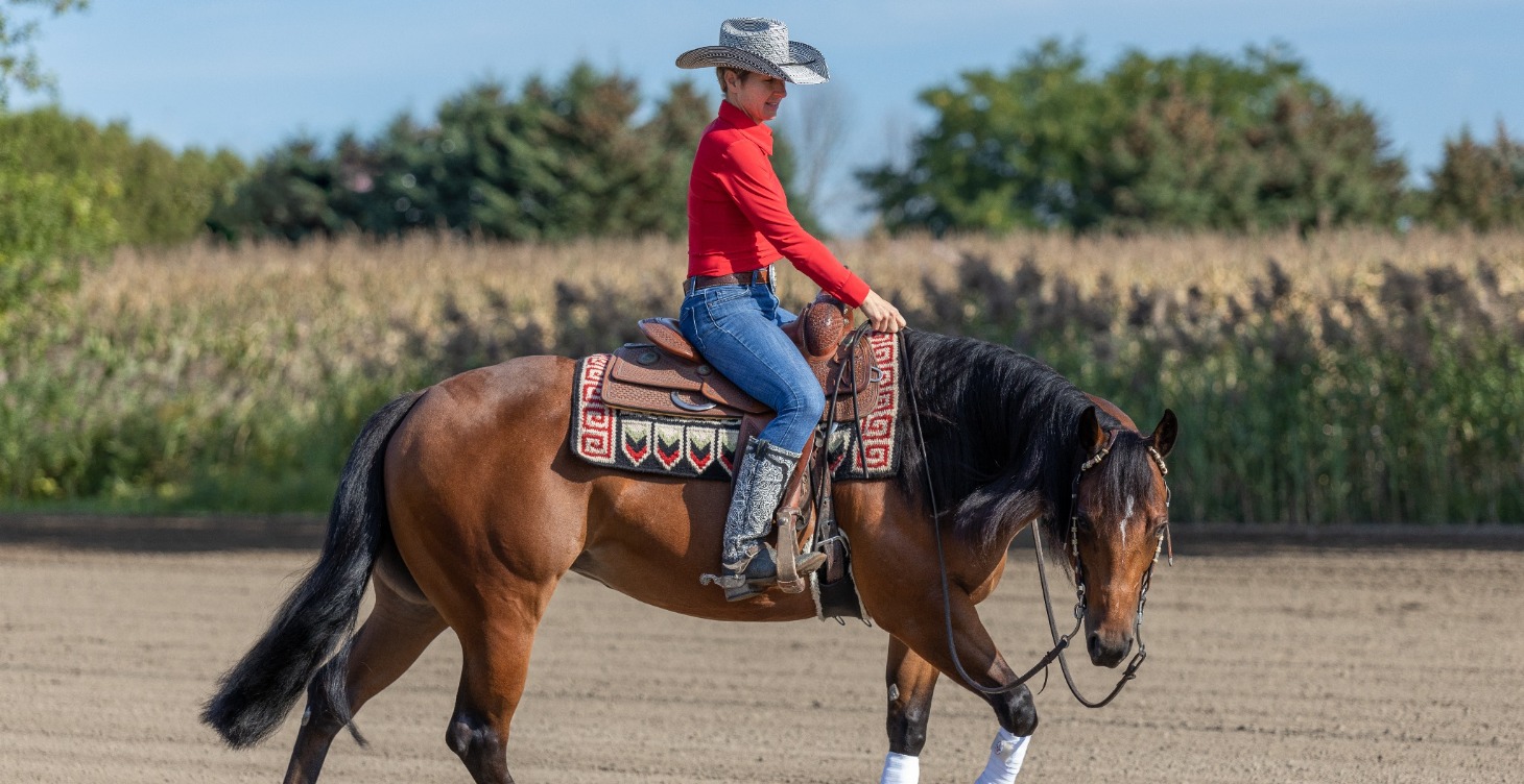 Les bases de l'équitation Western (Cavalier 1)