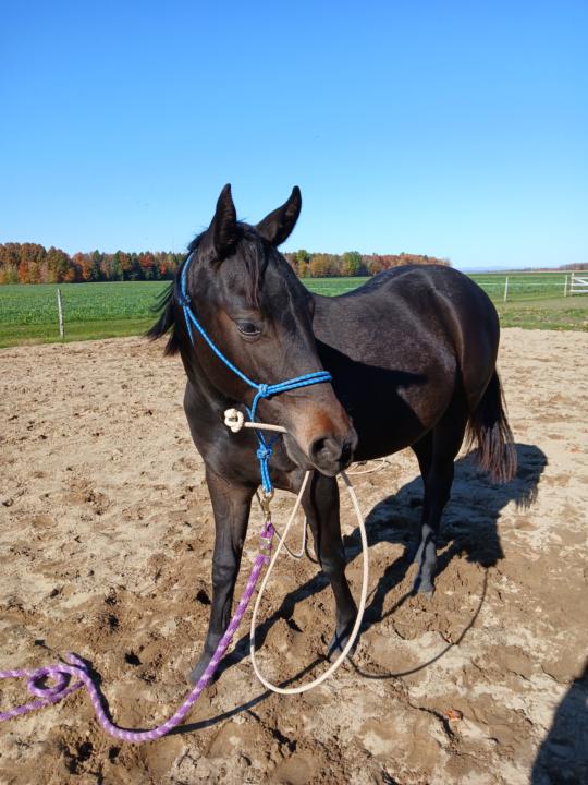 Nouvelle sur la page !