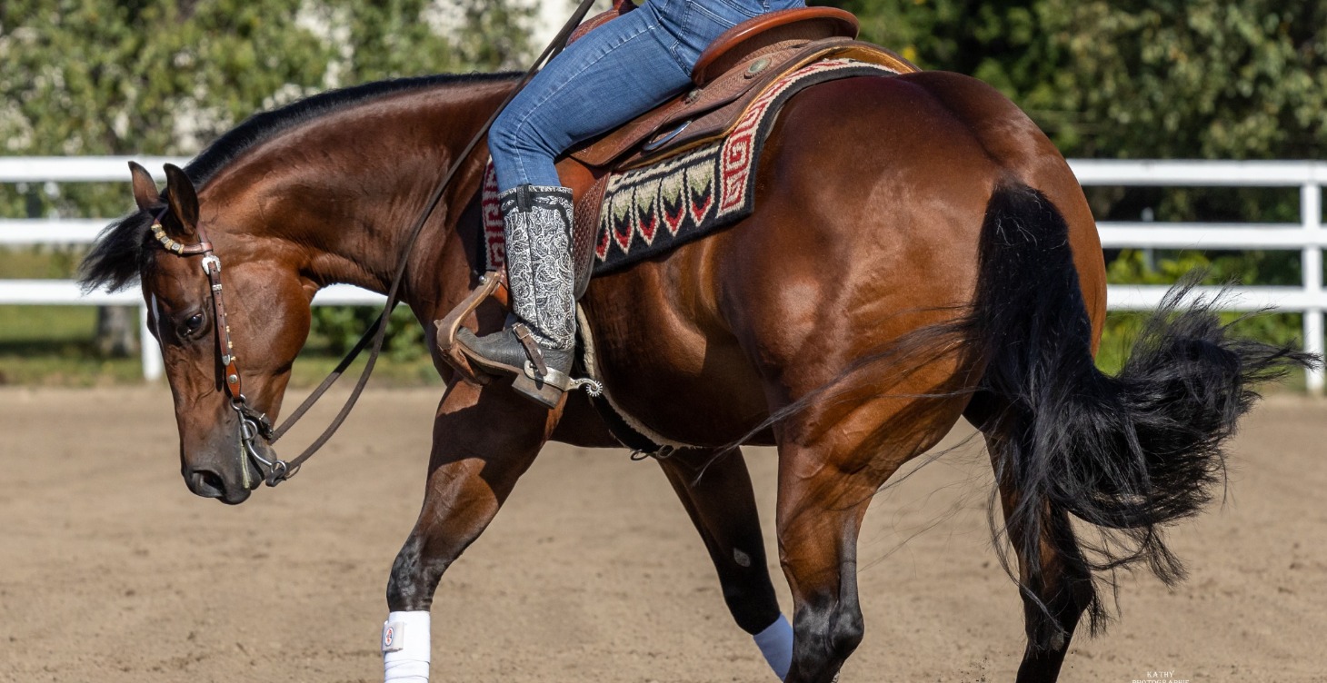 Formation d'entrainement de base en ligne - Zoom