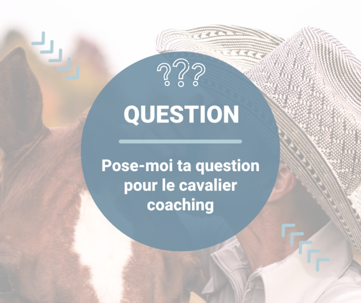 Cavalier coaching - Académie du cheval