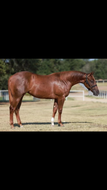 Mon prochain objectif