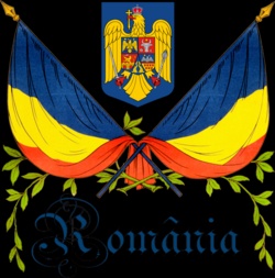 Codruta-Maria Corcheș