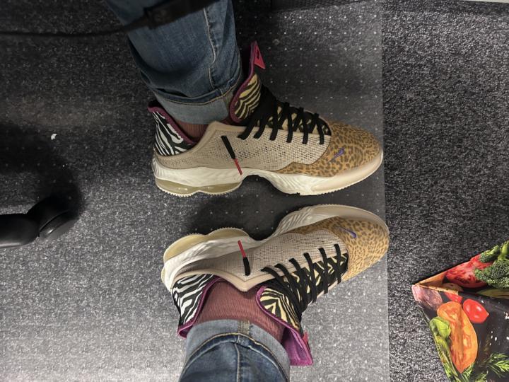 How long have you been a sneaker collector. 