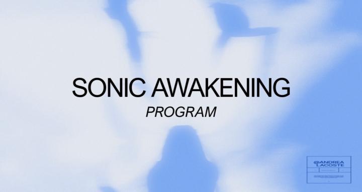 Sonic Awakening Program