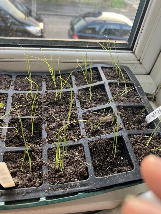 FEB seed update