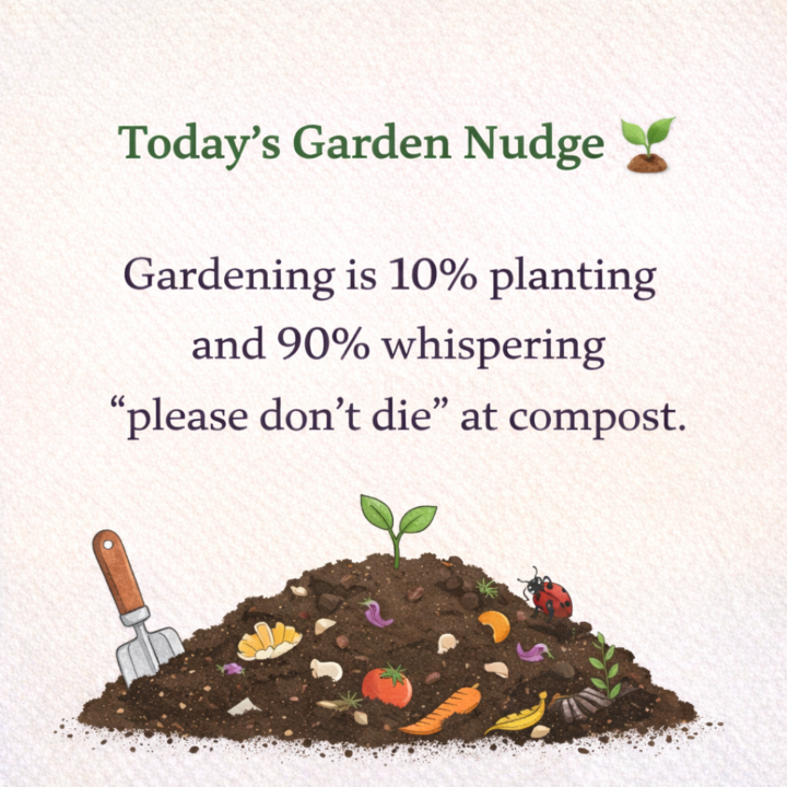 Today’s Garden Nudge 🌱