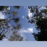 Jose Gabriel Vega Aguirre