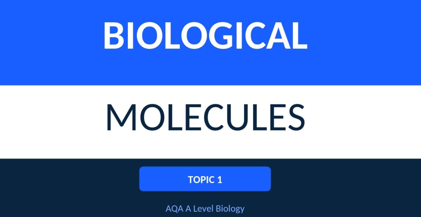 A-LEVEL BIOLOGY NOTES (AQA)