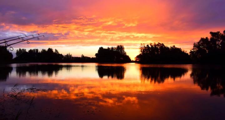 CARP FISHING DIRECTORY 