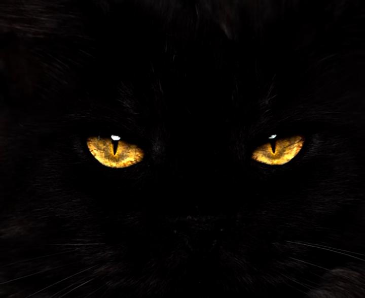 Without Hesitation (Perilous Missteps, part 2)