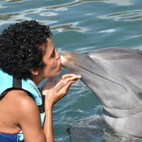 Katherine Candelario