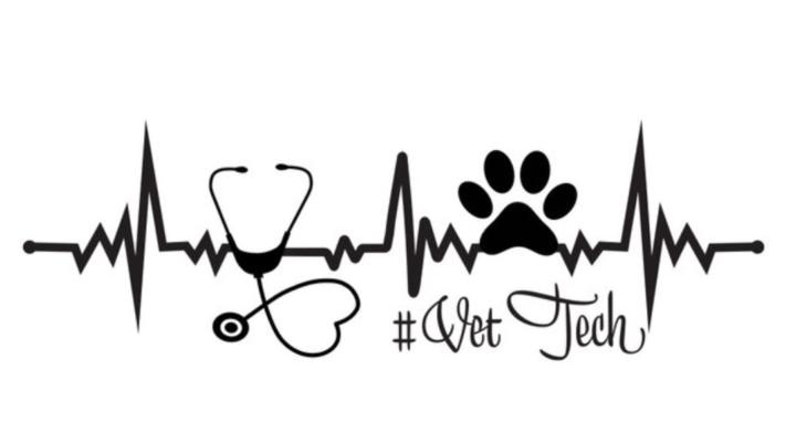 So You Want to Be a Vet Tech?