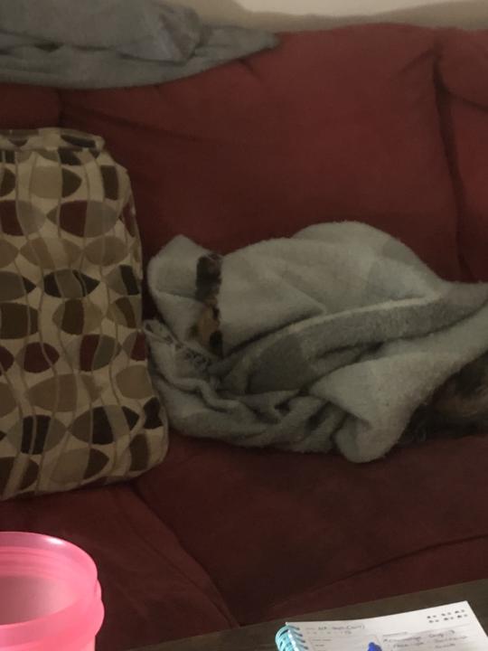 Excited to Be Here and Meet You All