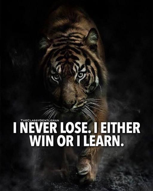 Just want to say Hi to you guys ♥️