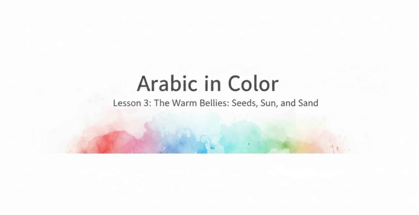 Lesson 3: The "Belly" Family - Warm Curves