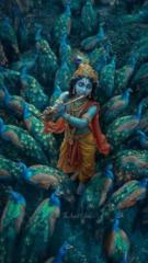 Sreechand Sreenivasan
