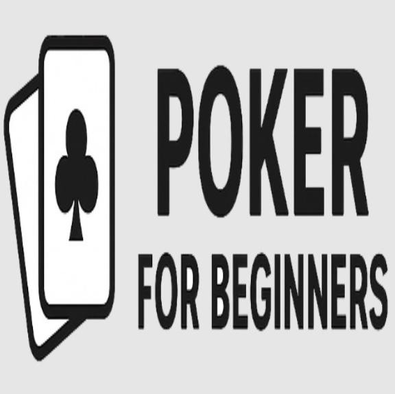 Pokerforbeginnershub Com