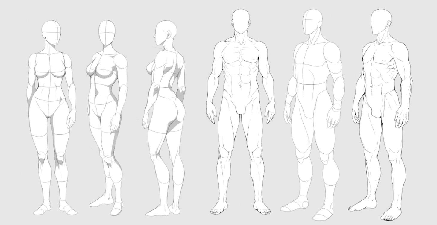 Simplified Anatomy for Beginners