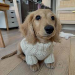 Comfort Marvelous