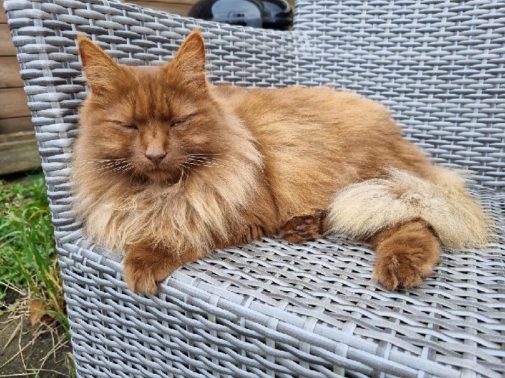 Erwin Oudejans-Favrim