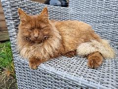 Erwin Oudejans-Favrim