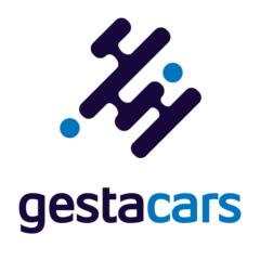 Gestacars Leads