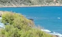 Bouanane Mohammed Riad