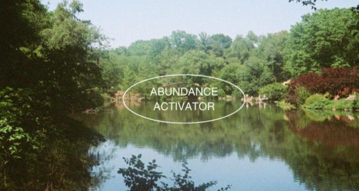 Abundance Activator