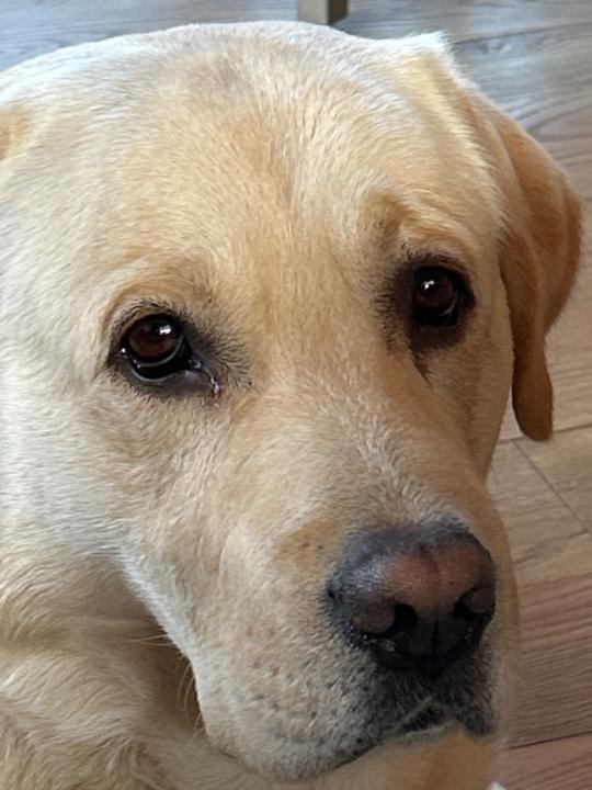 Sigmundur Eythorsson