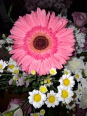 Silvina Lopez de Calatayud